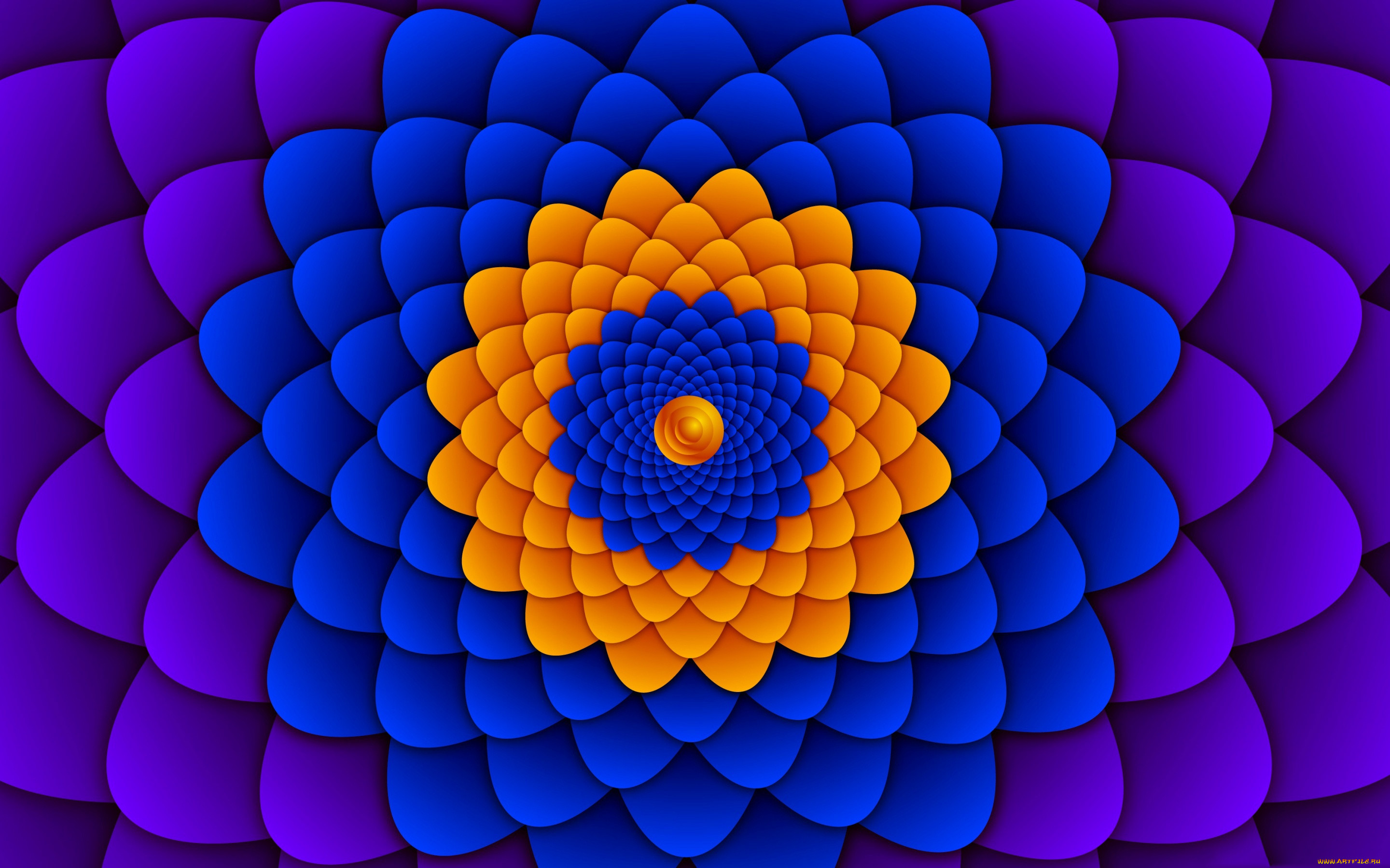  ,  , graphics, , , 
